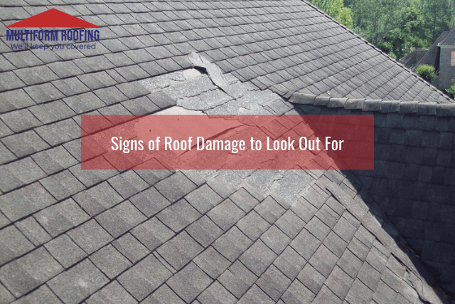 Signs of Roof Damage to Look Out For
